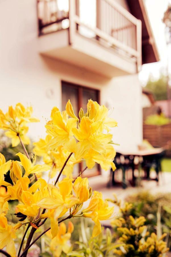 Urlop Przy Wydmach Apartment Miedzywodzie Ngoại thất bức ảnh