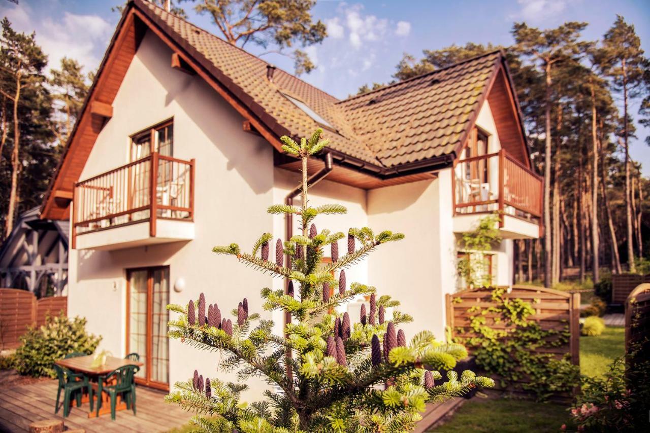Urlop Przy Wydmach Apartment Miedzywodzie Ngoại thất bức ảnh
