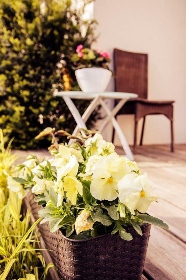 Urlop Przy Wydmach Apartment Miedzywodzie Ngoại thất bức ảnh