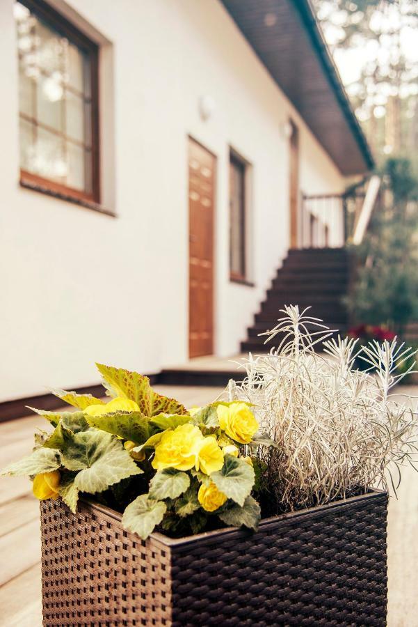 Urlop Przy Wydmach Apartment Miedzywodzie Ngoại thất bức ảnh